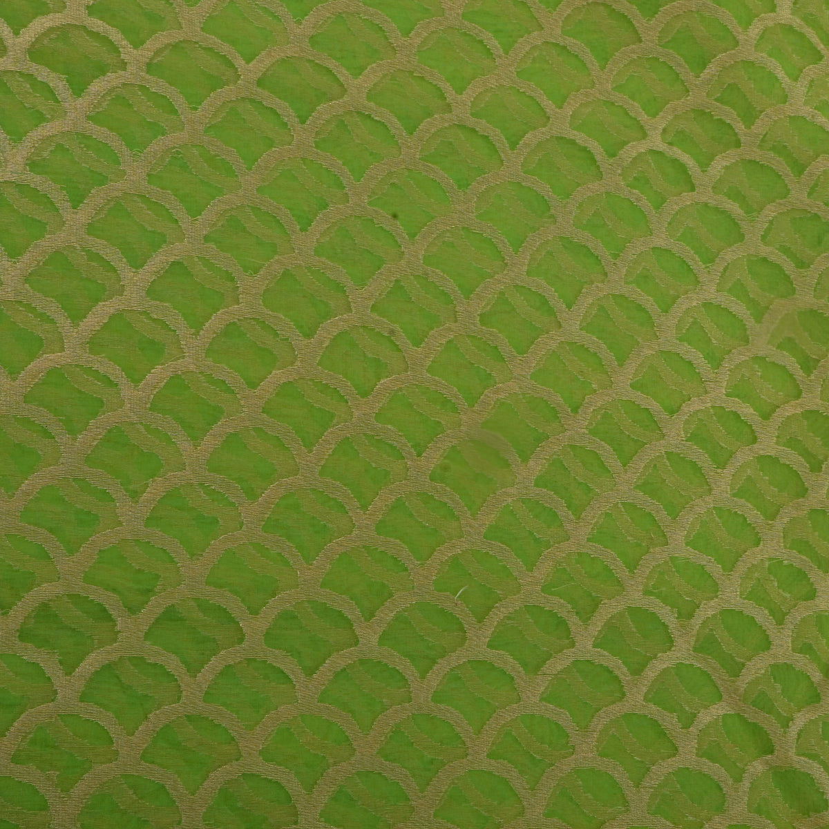 Green And Gold Zari Organza Fabric