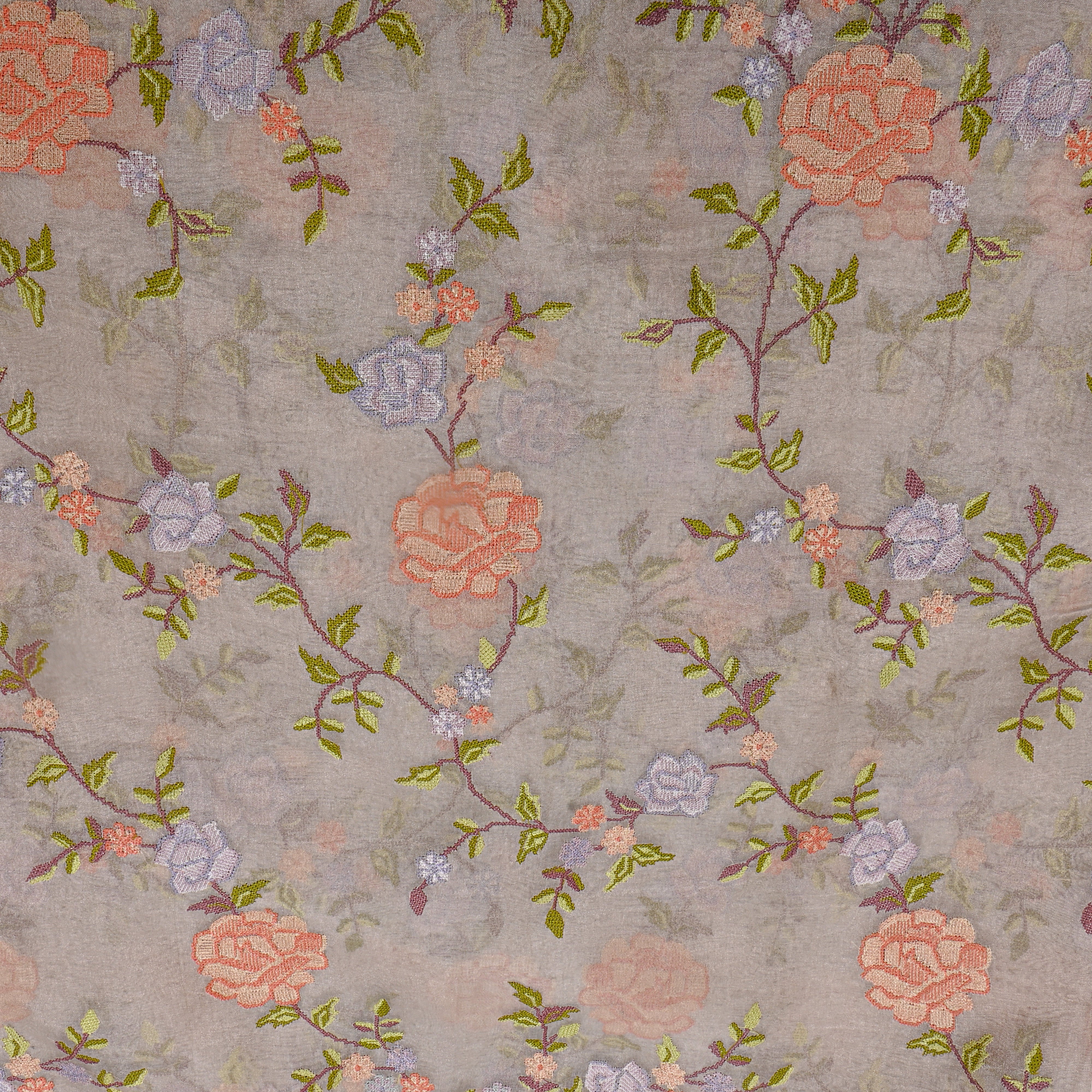Beige Tissue Fabric With Floral Jaal Thread Work