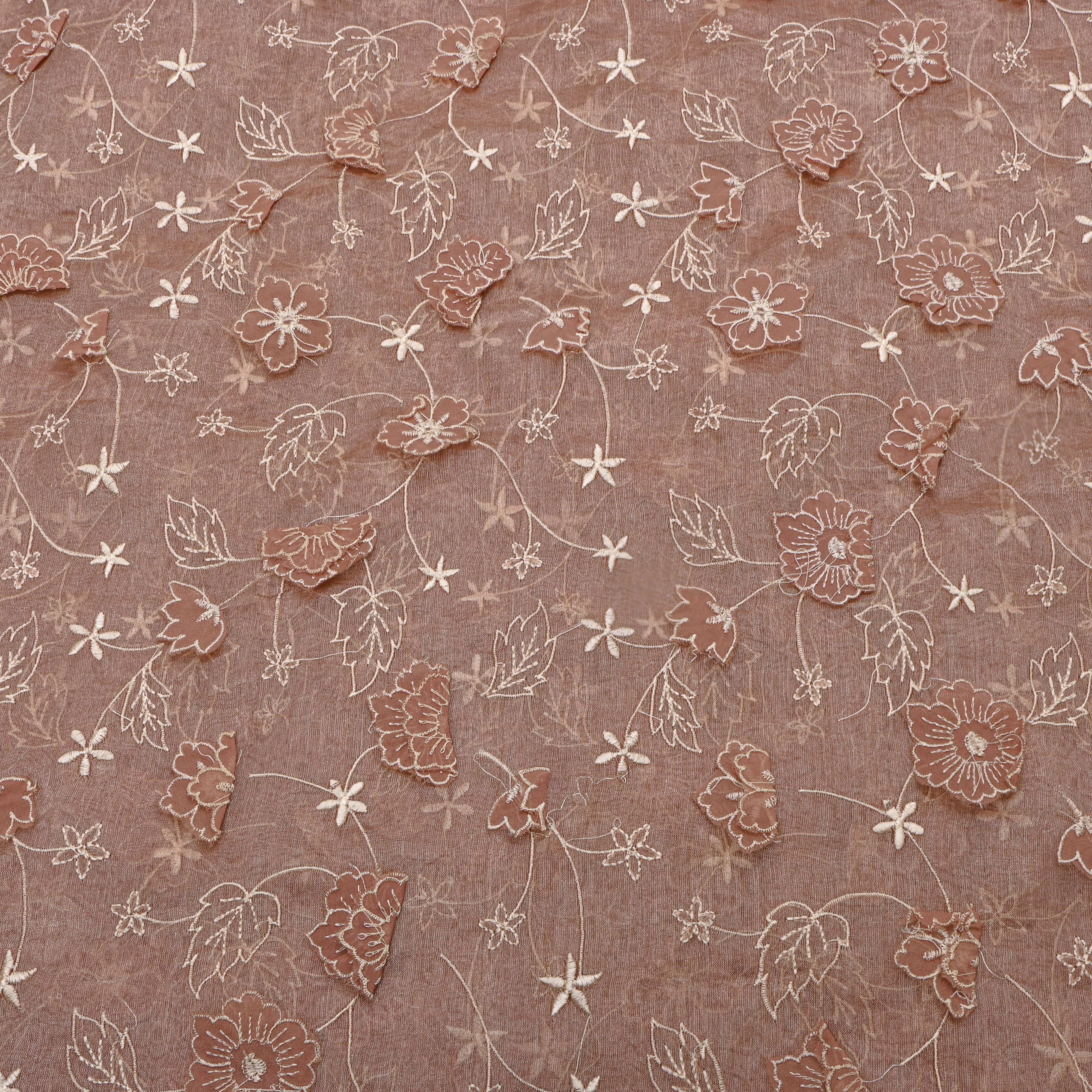 Beige Tissue Fabric With Gold Appliqué Jaal