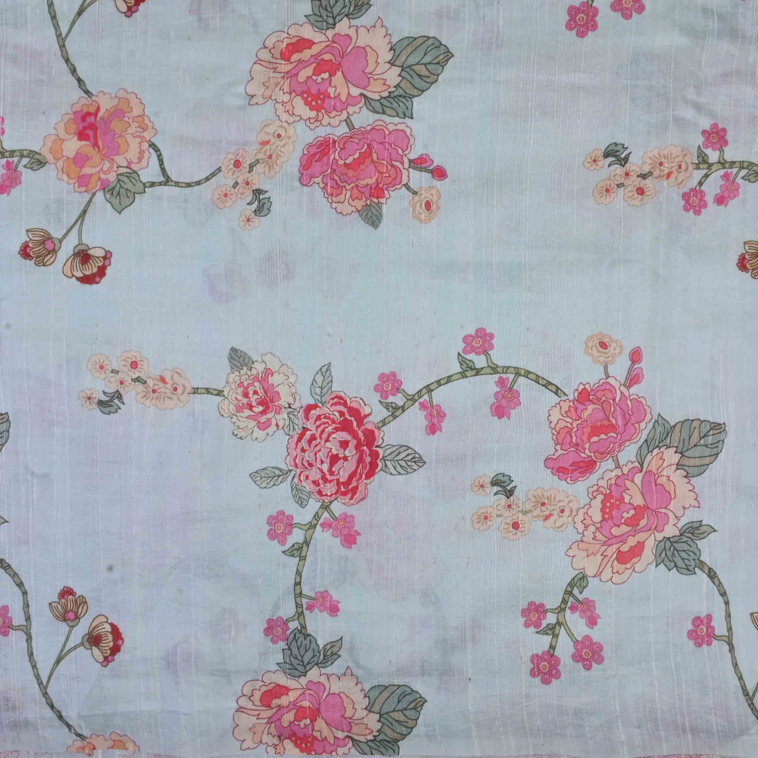 Pastel Sky Blue Printed Rawsilk Fabric