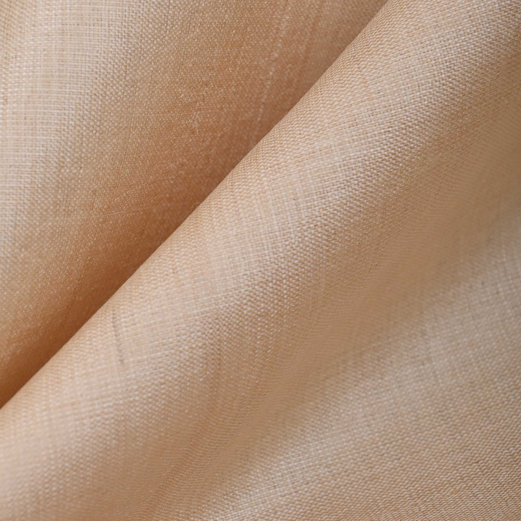 Light Beige Plain Tussar Silk Fabric