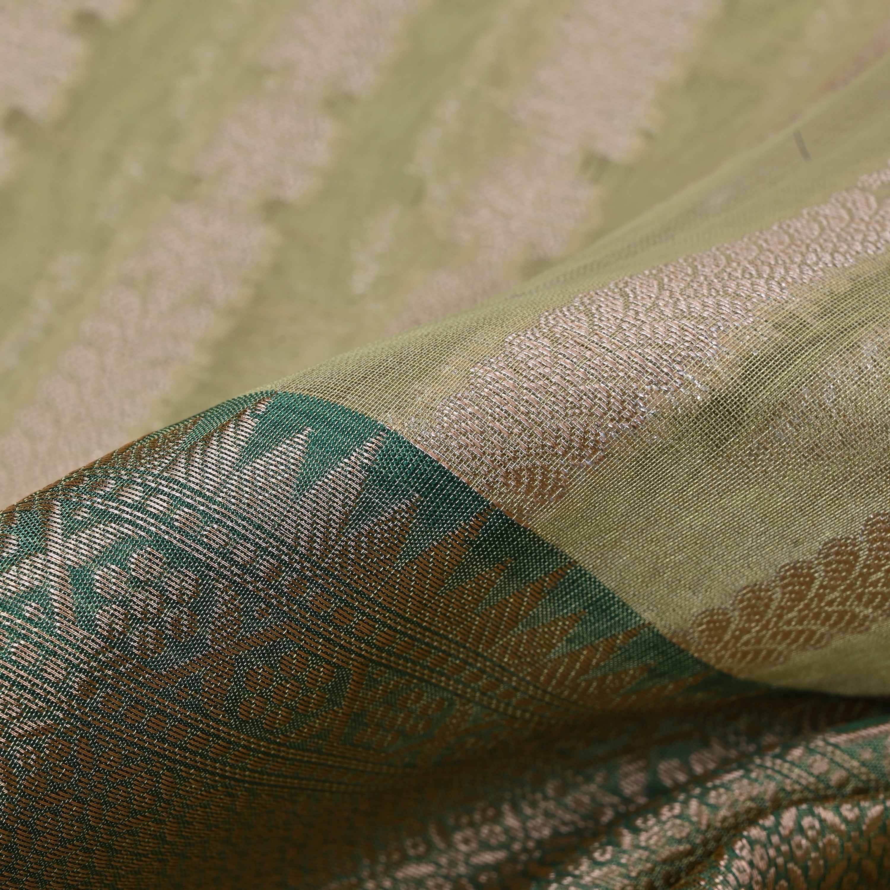 Tea Green Tissue Fabric With Floral Border