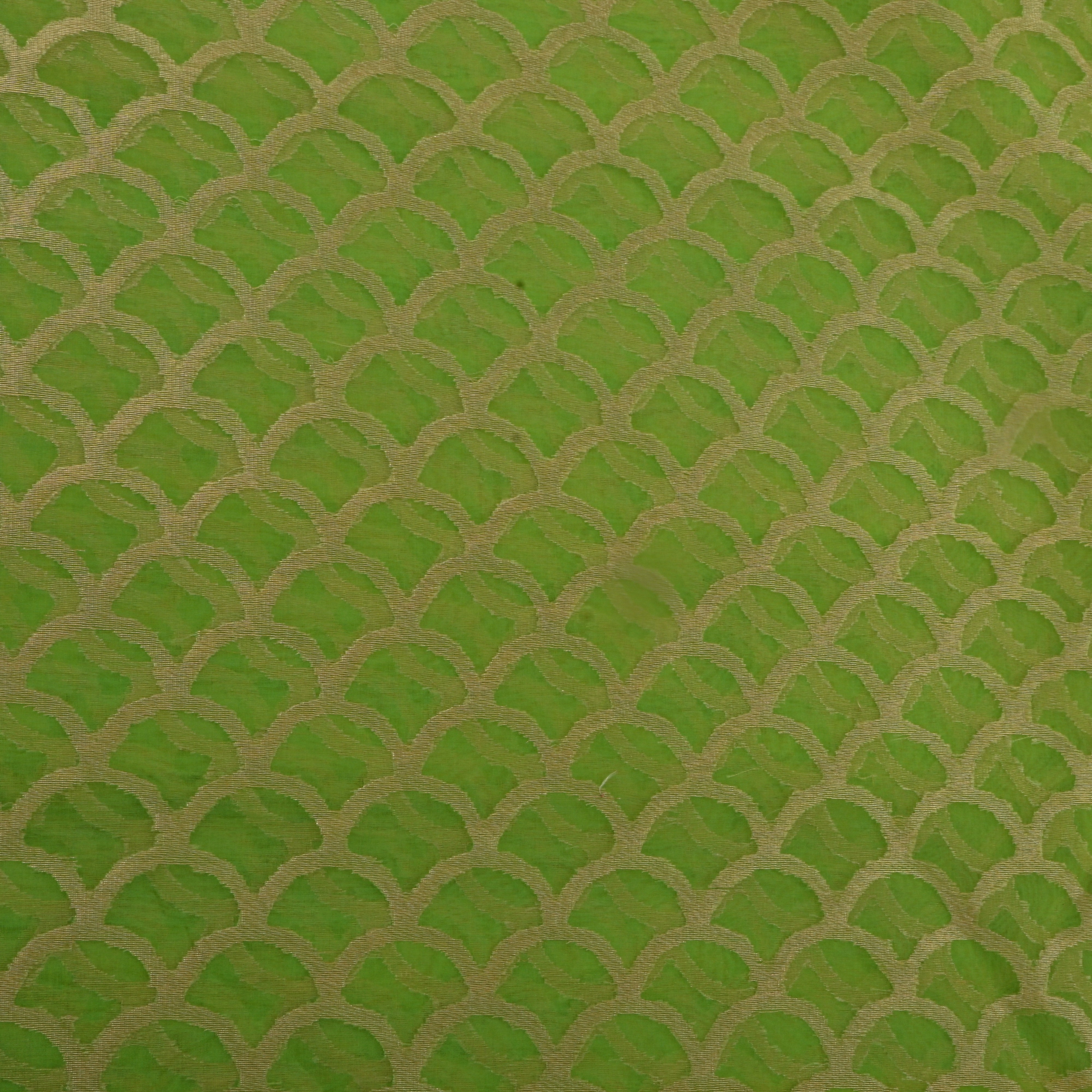Green And Gold Zari Organza Fabric