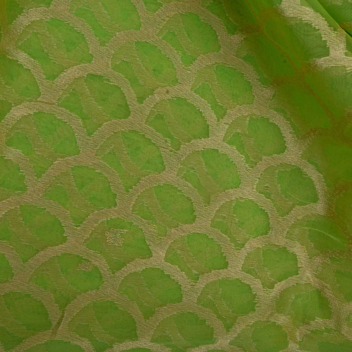 Green And Gold Zari Organza Fabric