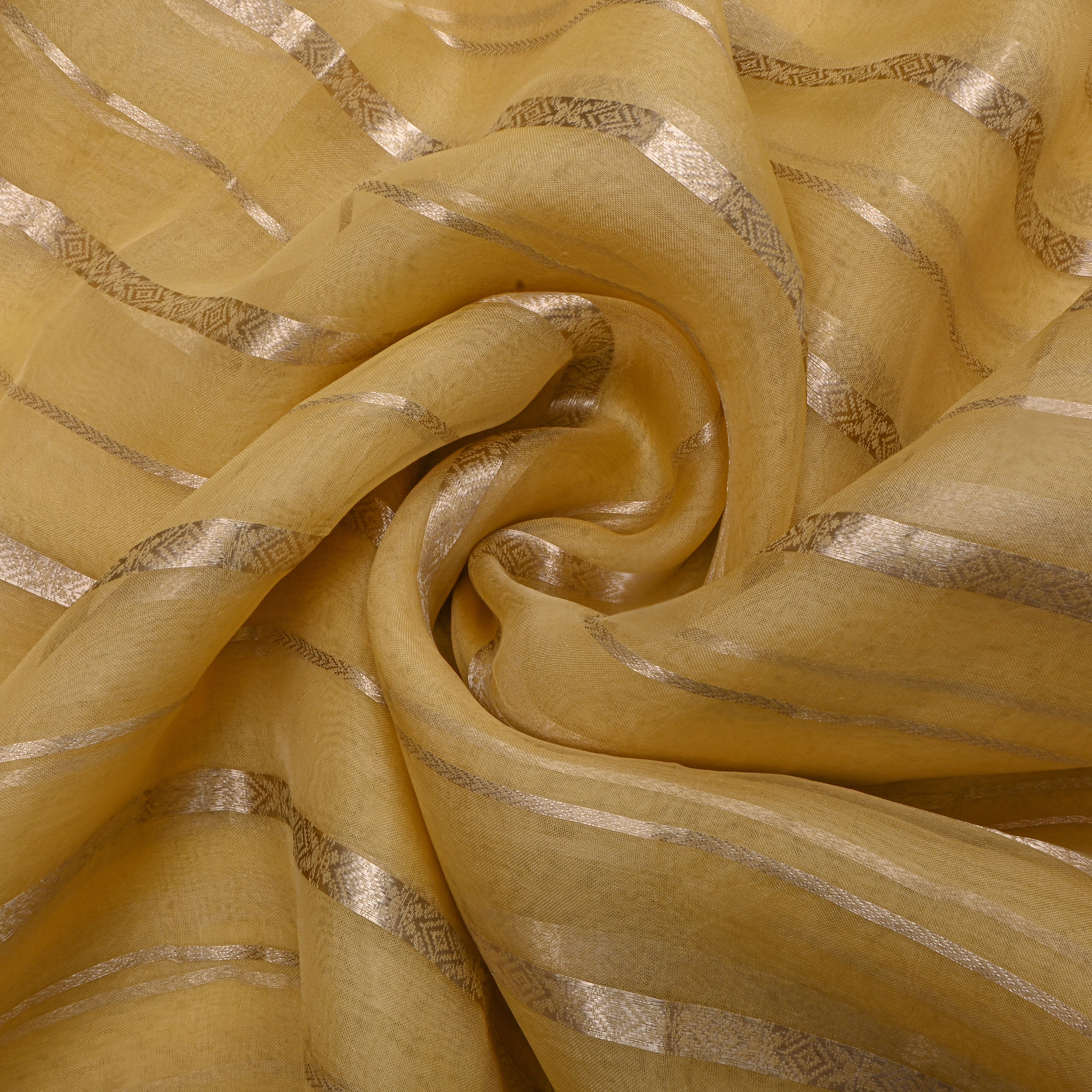 Gold Striped Zari Embroidered Organza