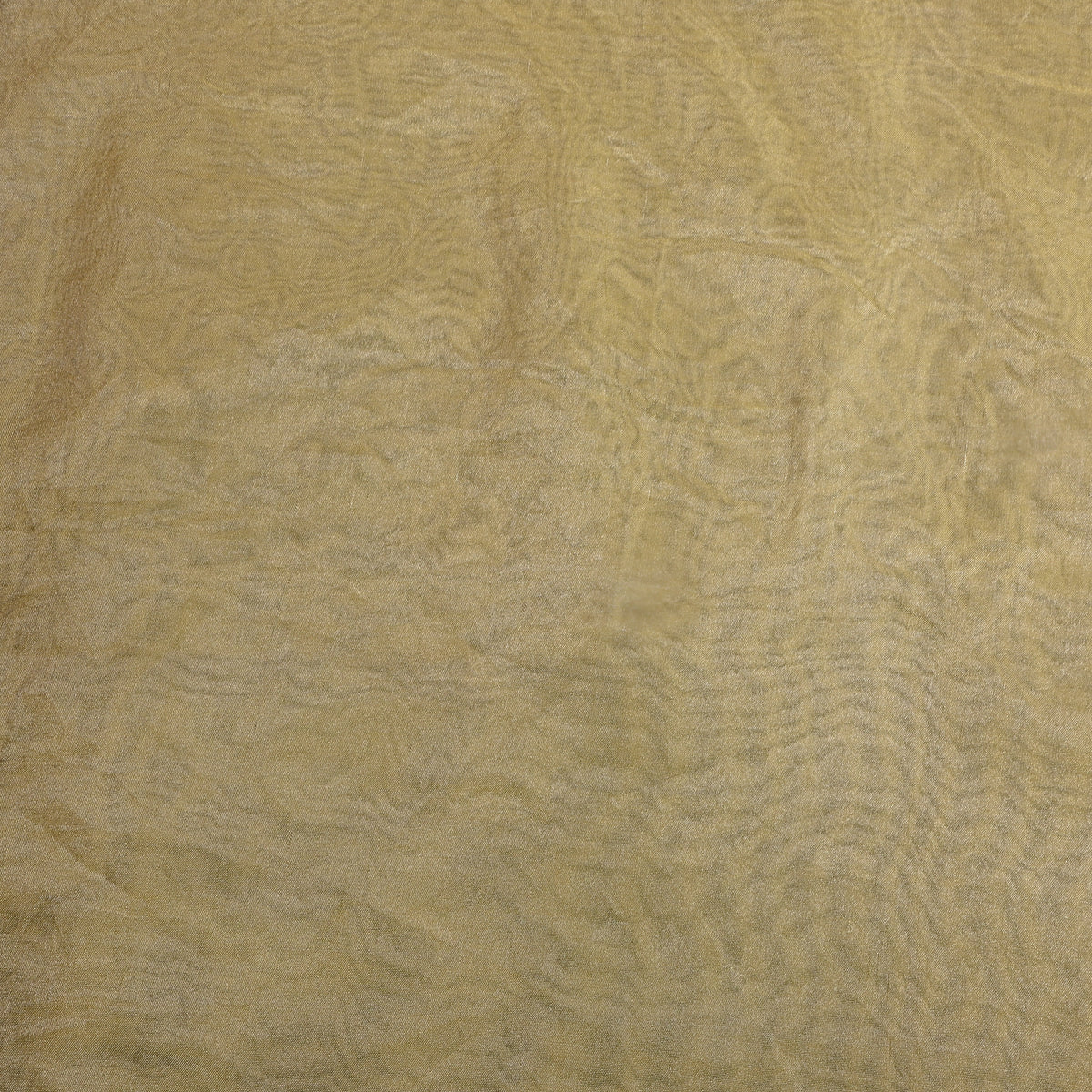 Champagne Gold Plain Tissue Fabric