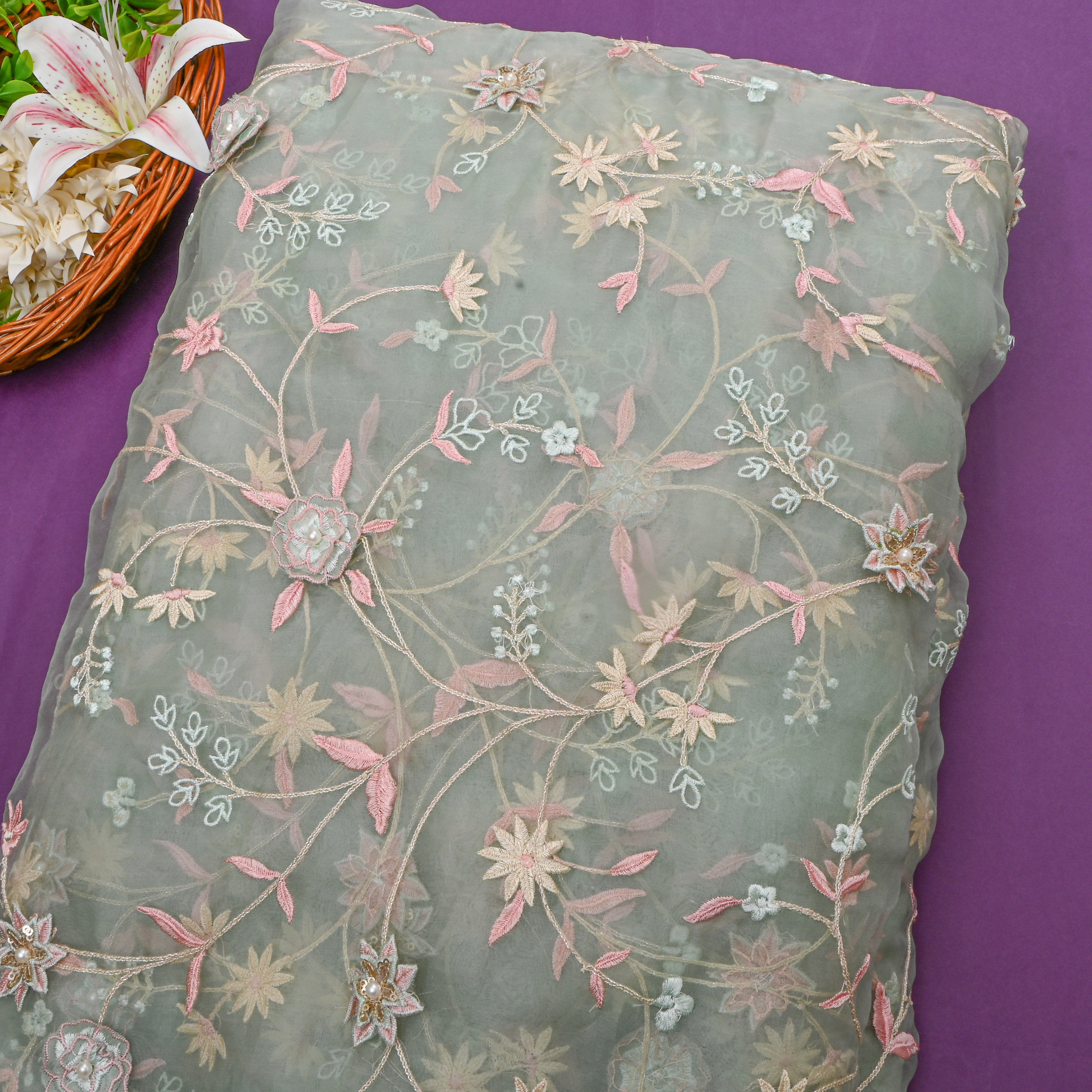 Pastel Green Organza With Appliqué Jaal