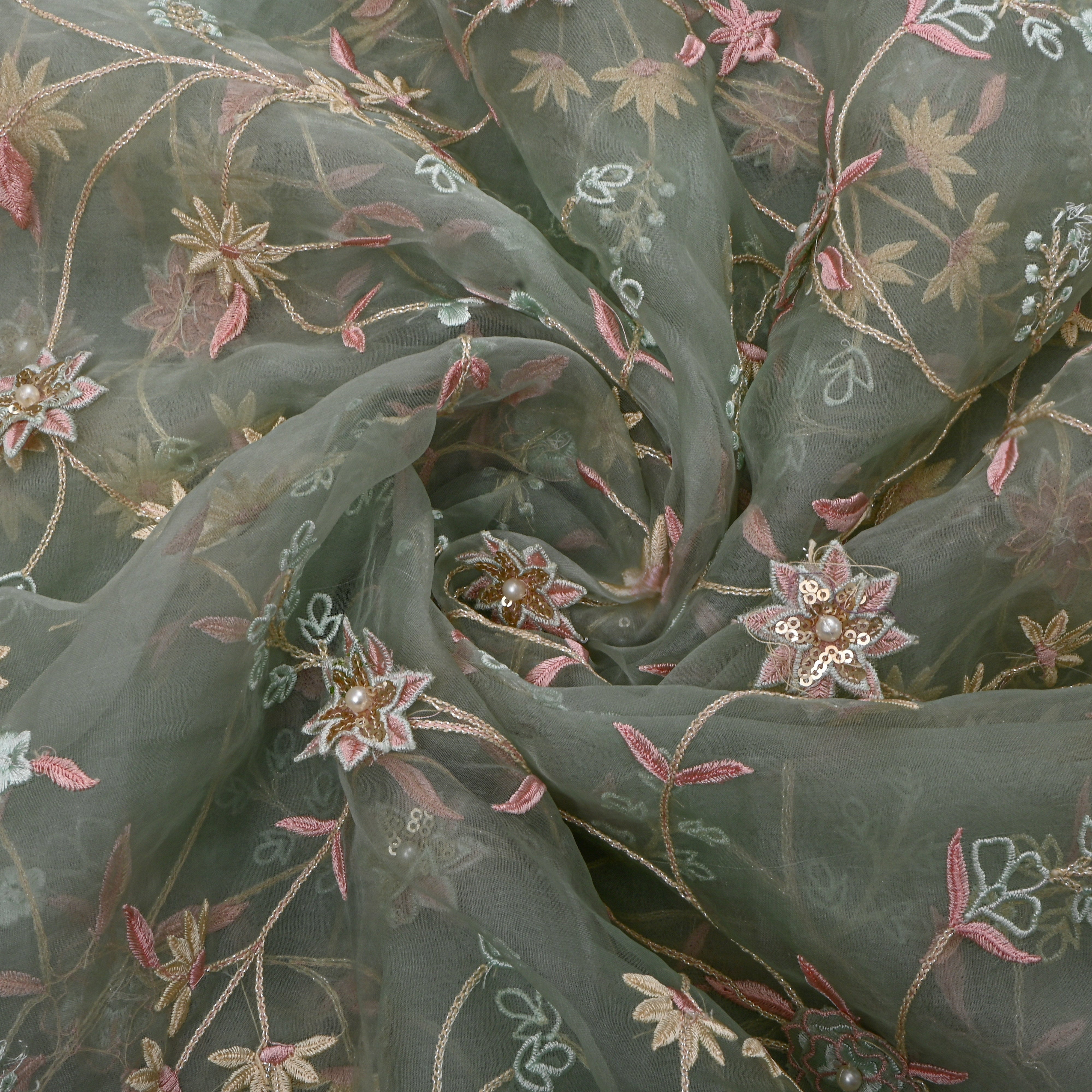 Pastel Green Organza With Appliqué Jaal