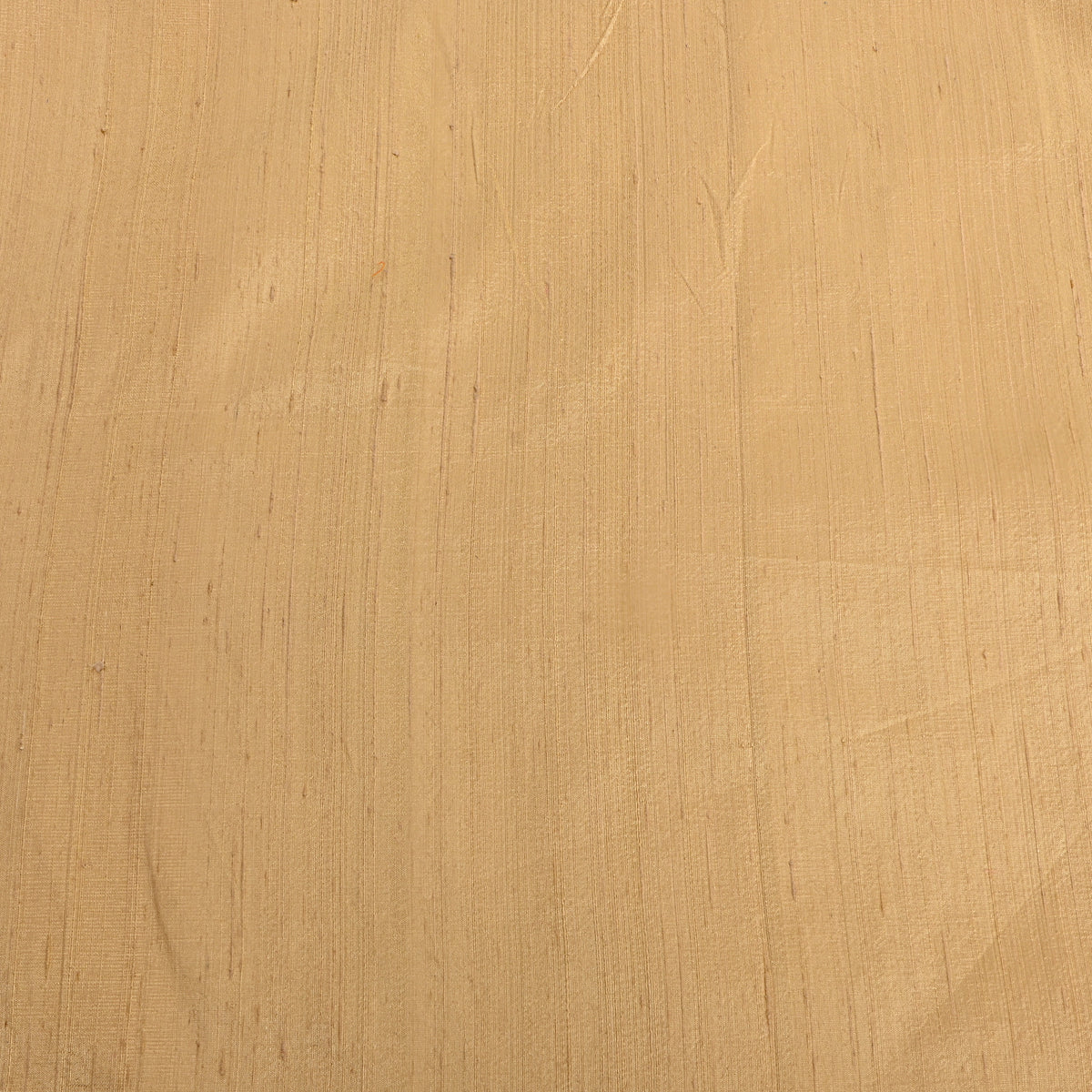Almond Beige Plain Raw Silk Fabric