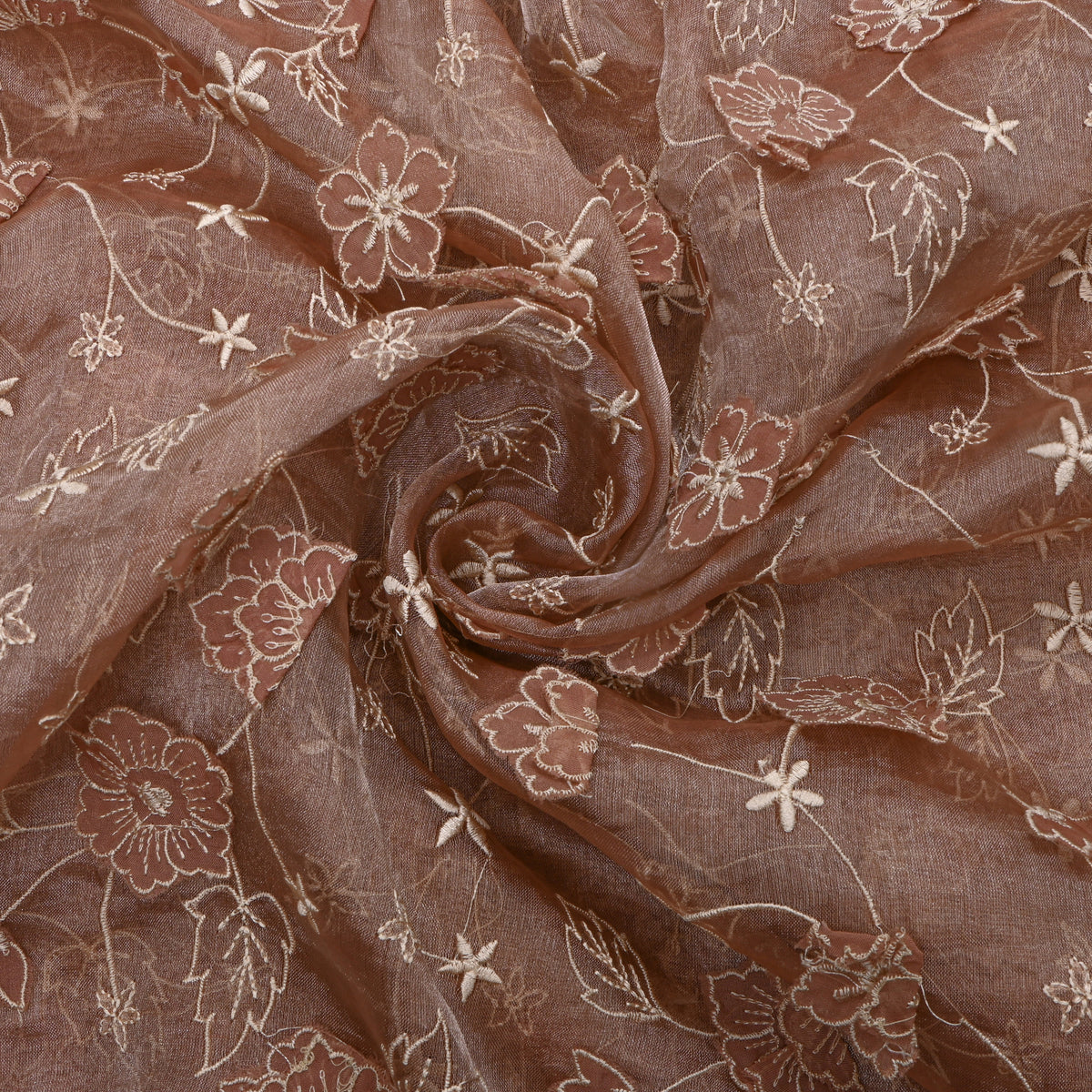 Beige Tissue Fabric With Gold Appliqué Jaal