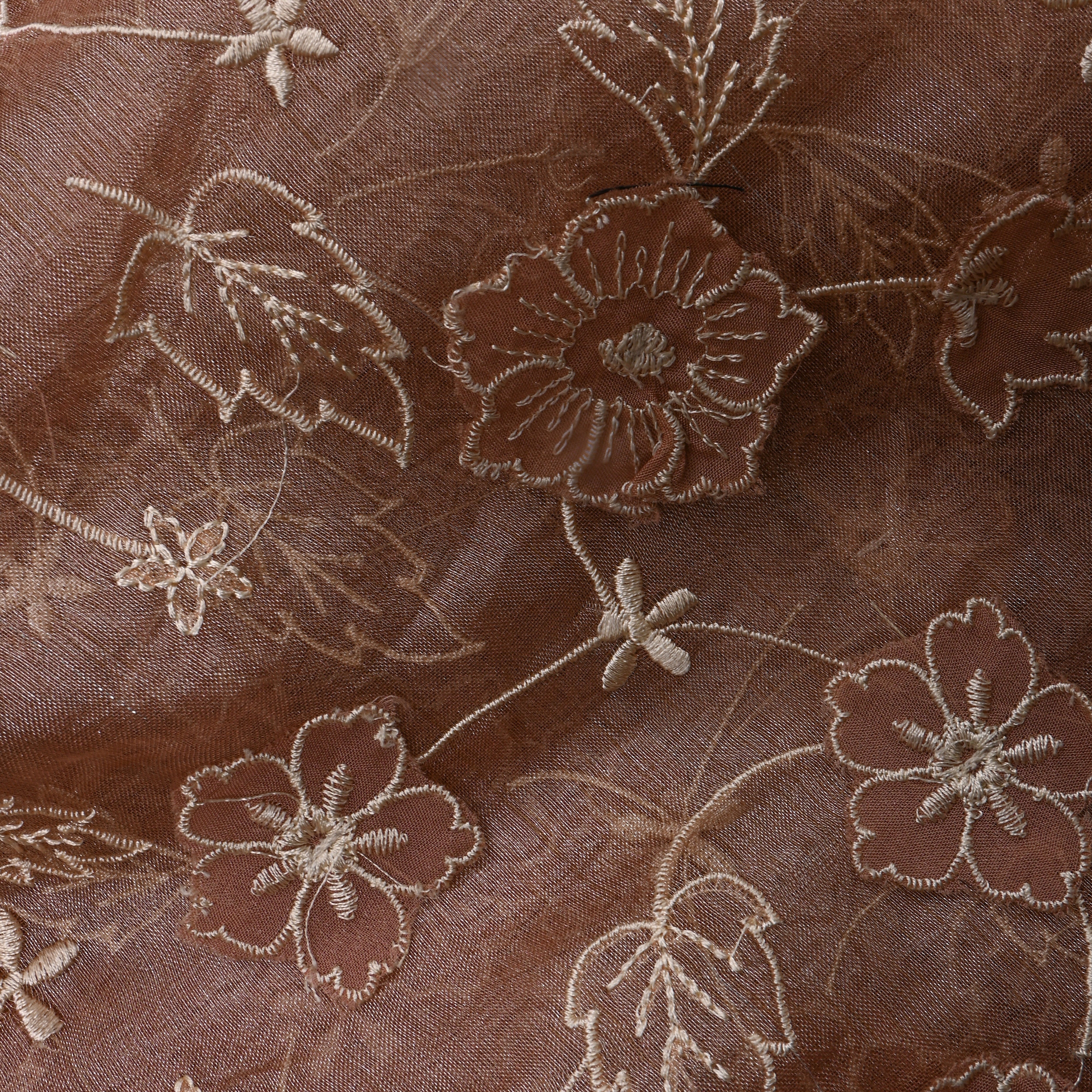 Beige Tissue Fabric With Gold Appliqué Jaal