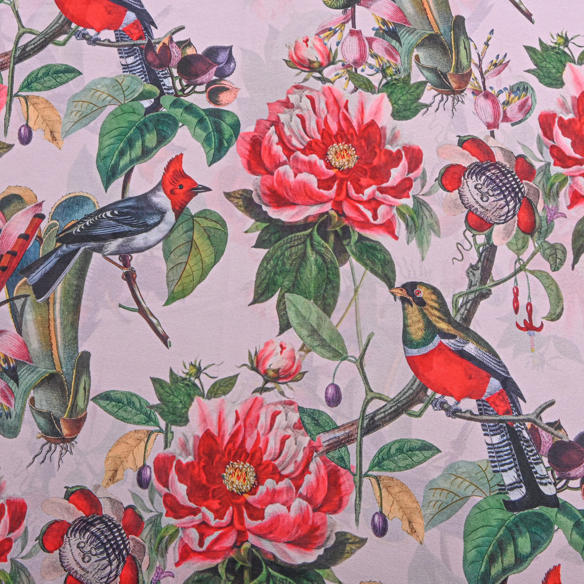 Ivory Bird Floral Print Georgette Fabric