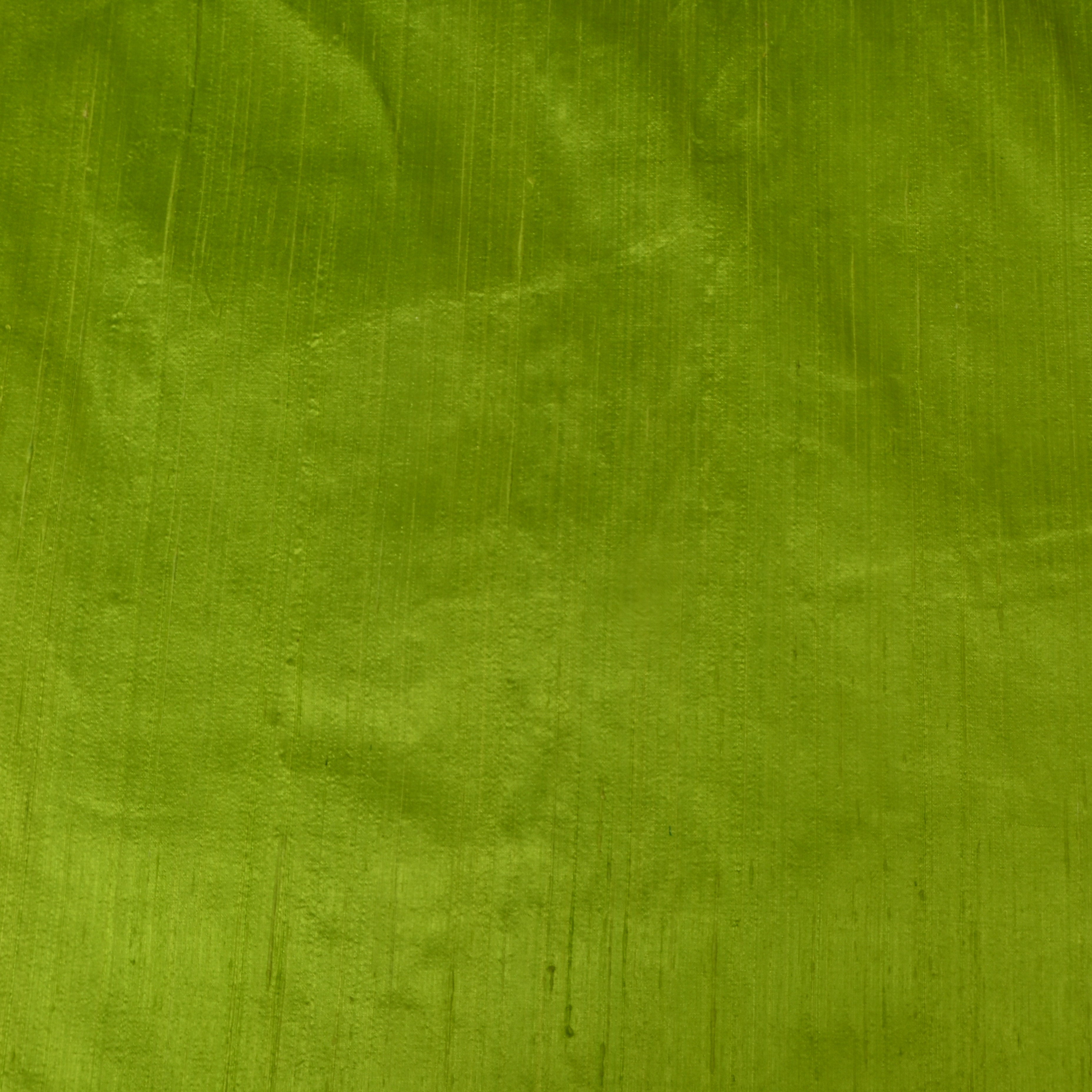 Parrot Green Vibrant Silk