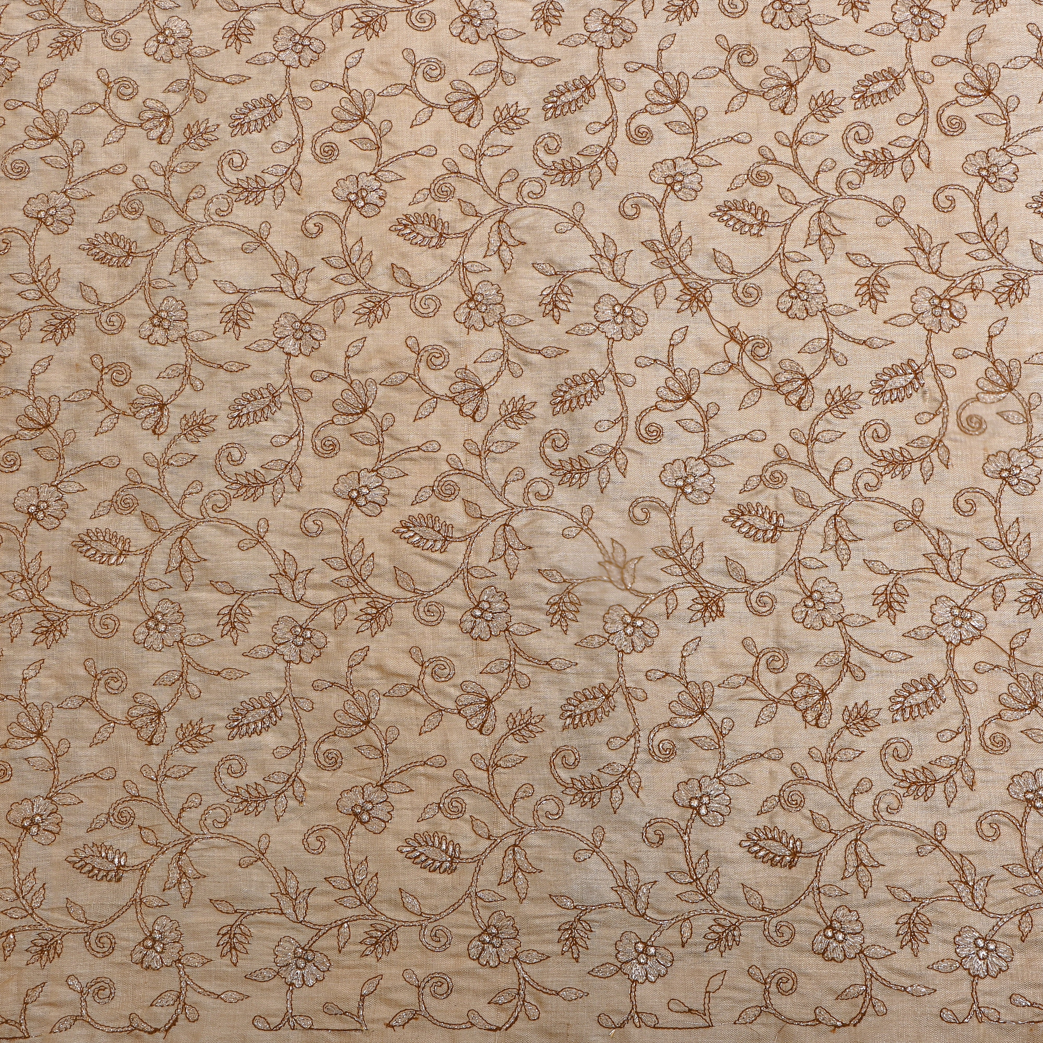 Beige Zari Jaal Embroidered Tussar Silk