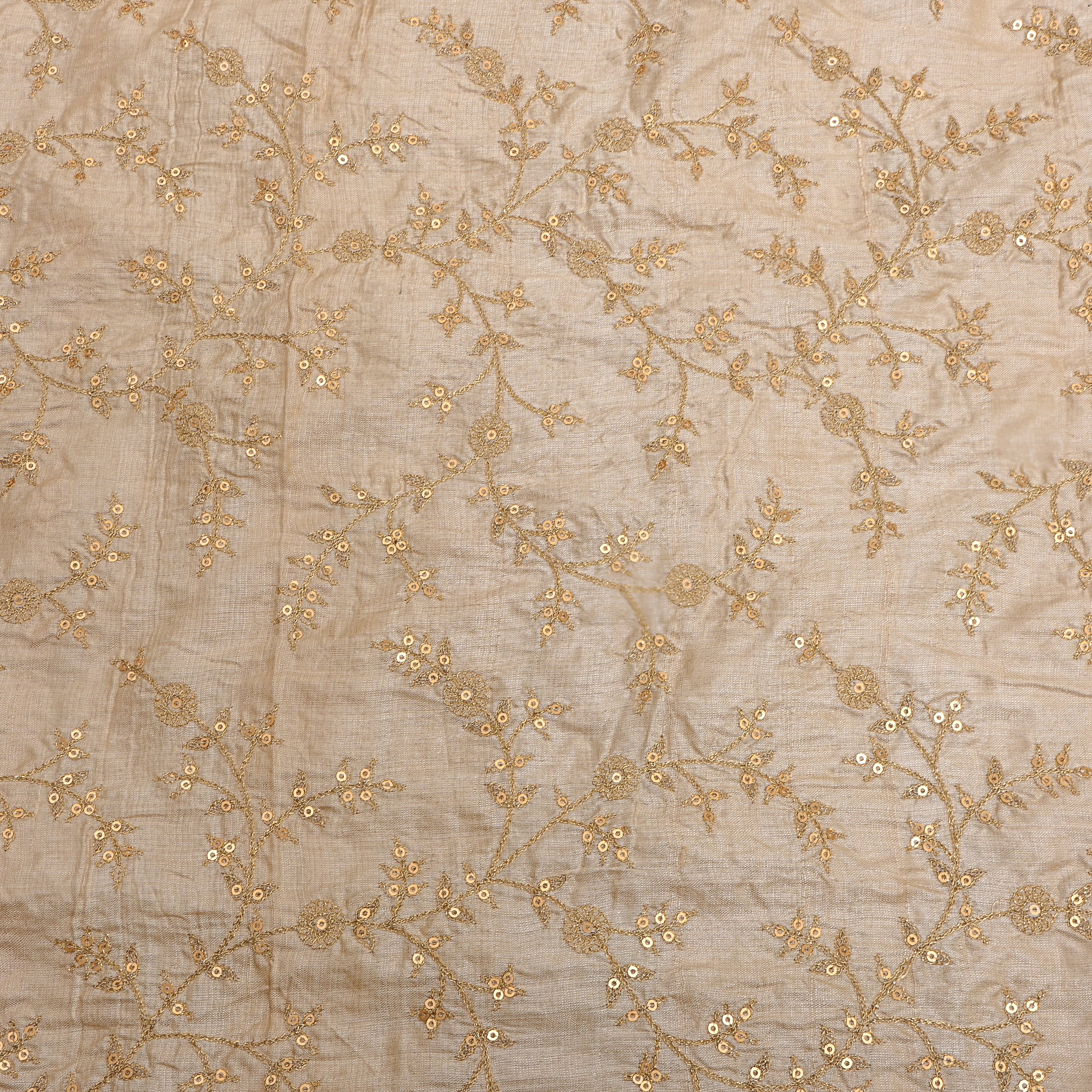 Beige Zari Jaal Embroidered Tussar Silk