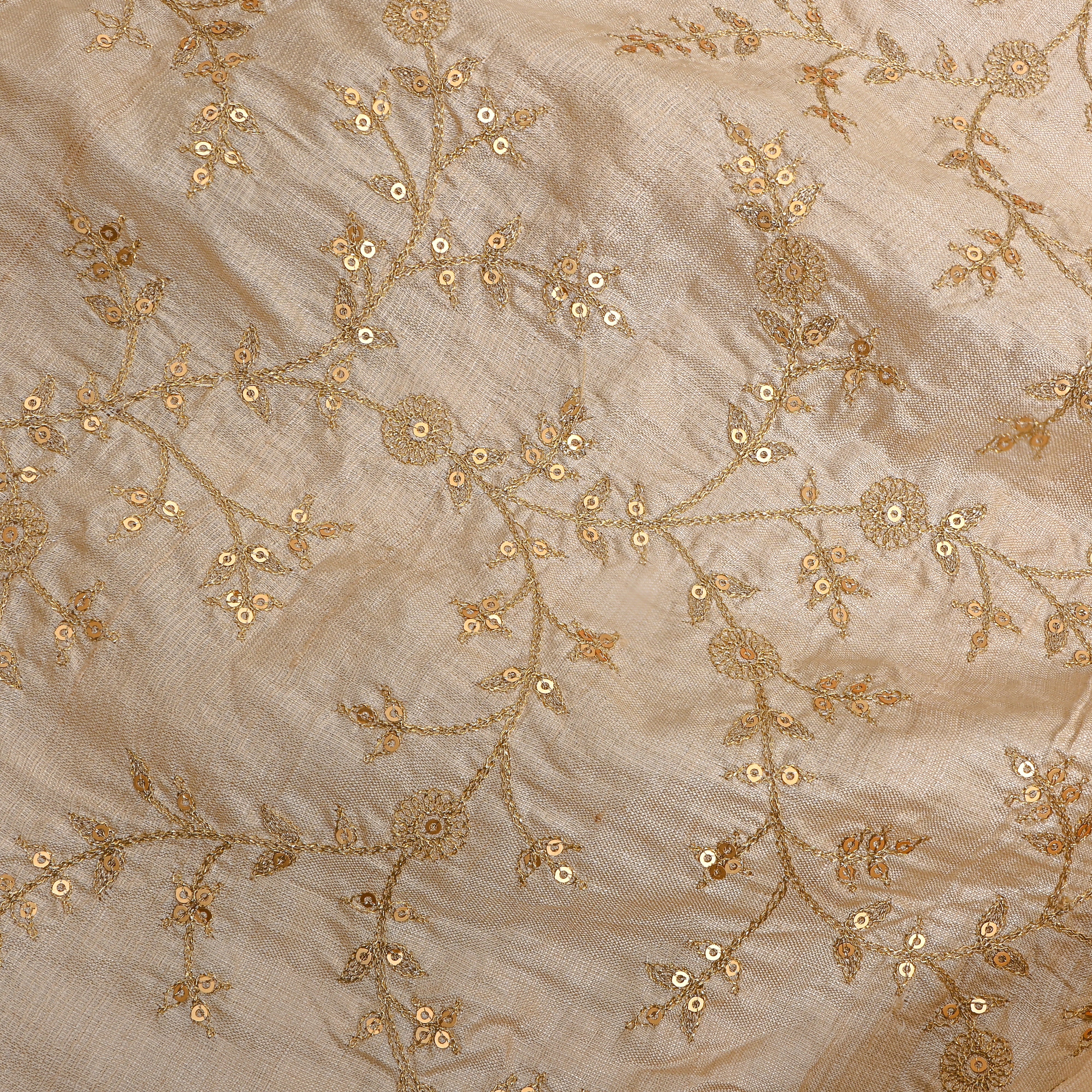 Beige Zari Jaal Embroidered Tussar Silk