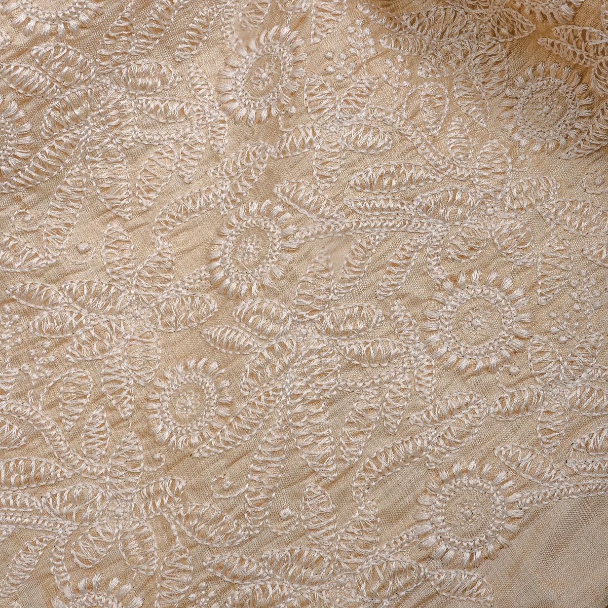 Cream Tissue Fabric With Floral Thread Work