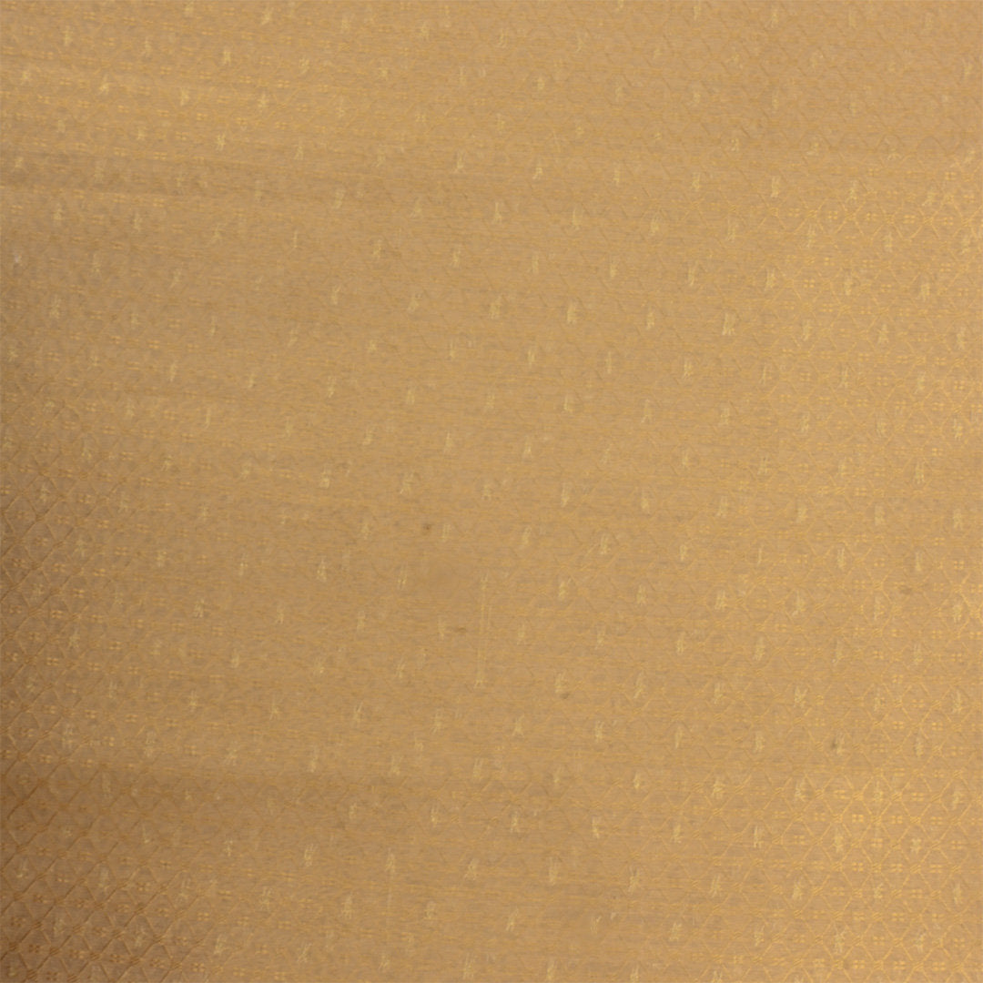 Fawn Yellow Jamawar Tissue Fabric With Brocade