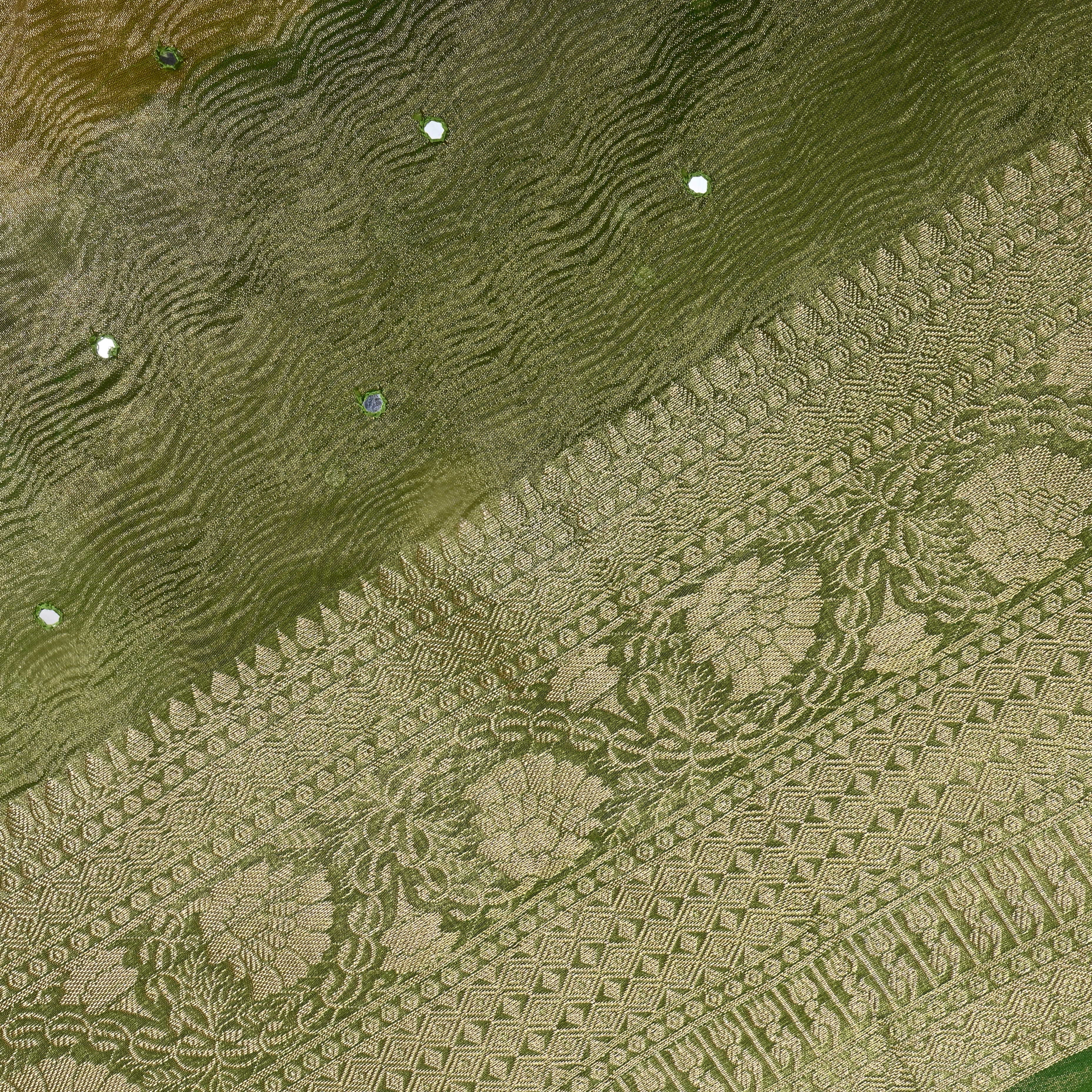 Dual Tone Leaf Green Zari Woven Tissue Fabric