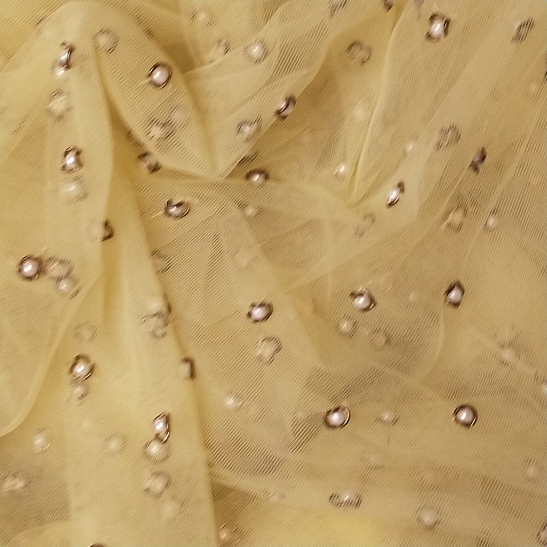 Mellow Yellow Net Embroidery Fabric