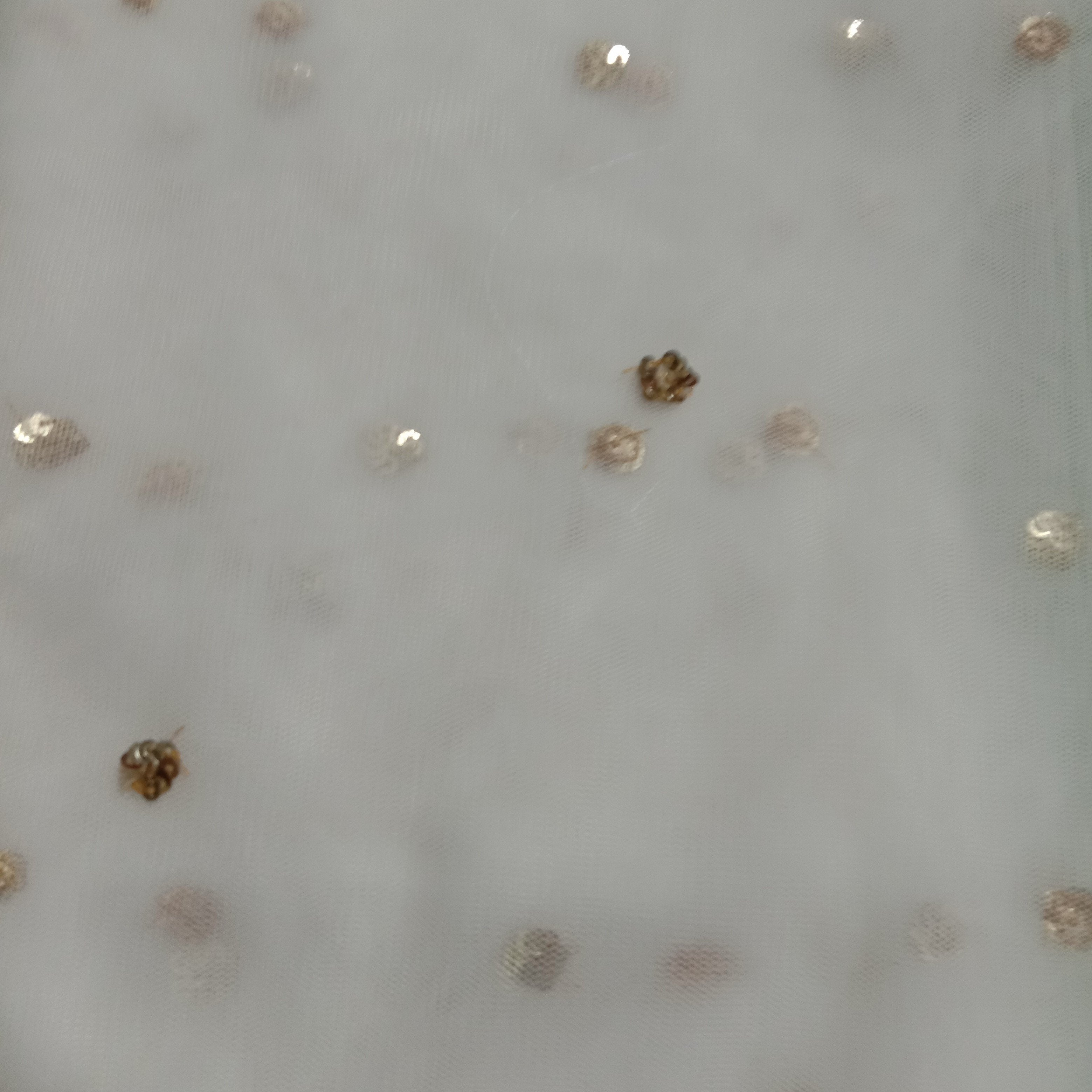 White Net Embroidery Fabric