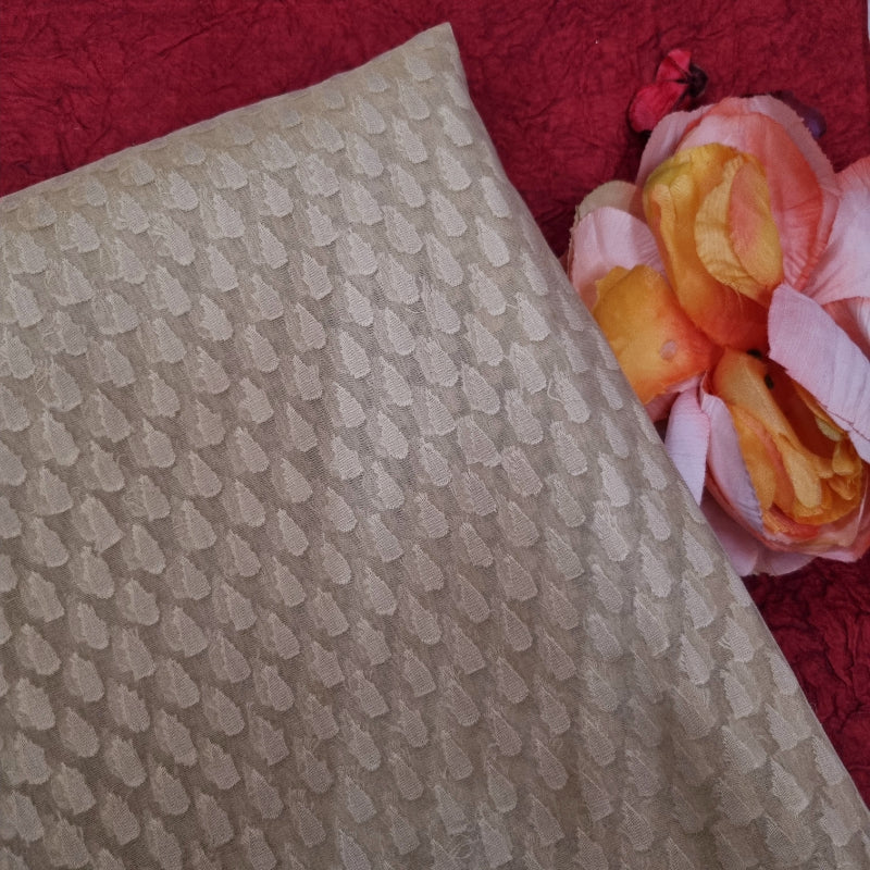 Golden Beige Color Woven Organza Fabric