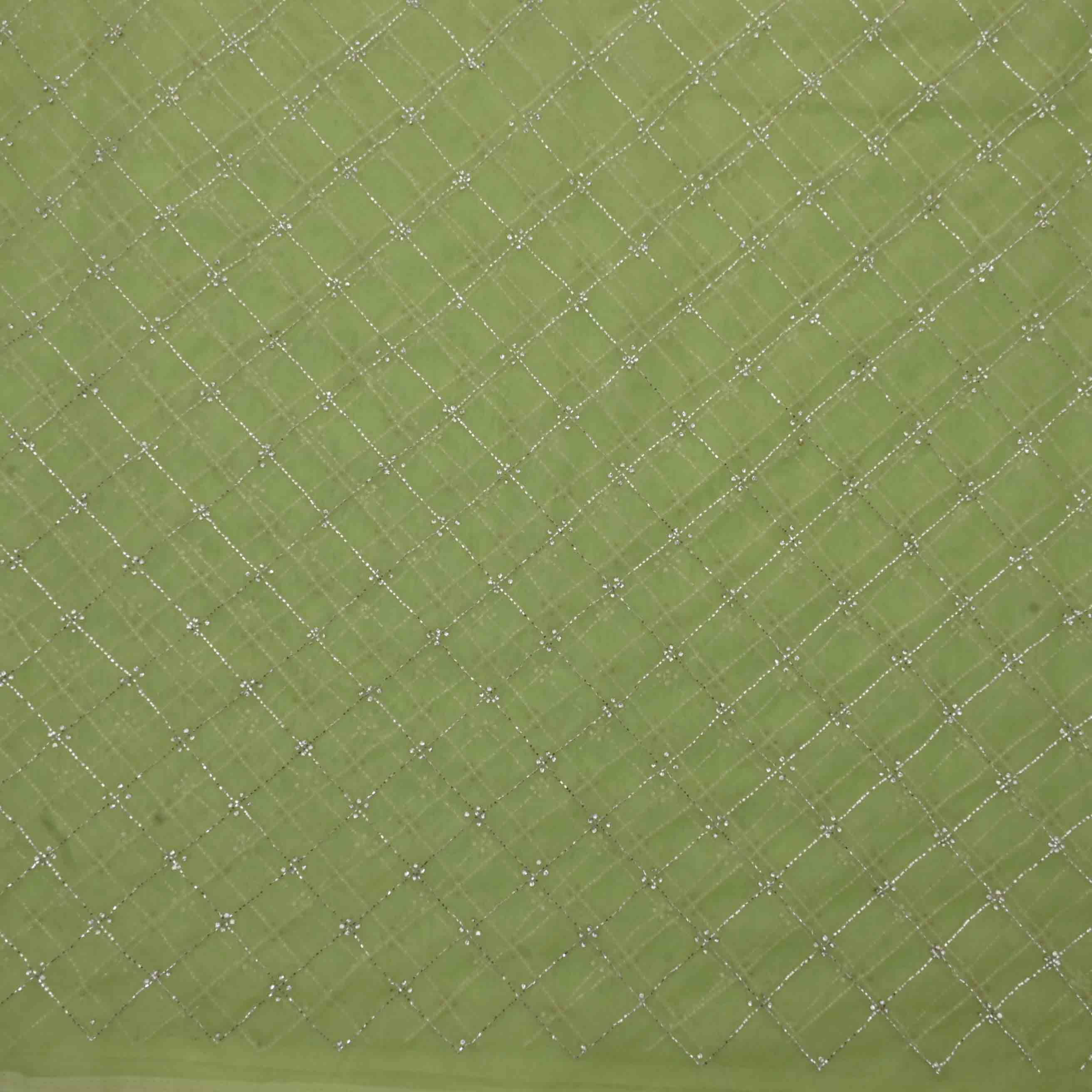 Green Embroidery Organza Fabric